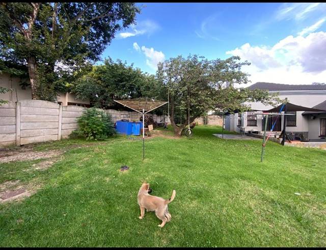 3 BEDROOM PROPERTY TO RENT IN BIRCHLEIGH
